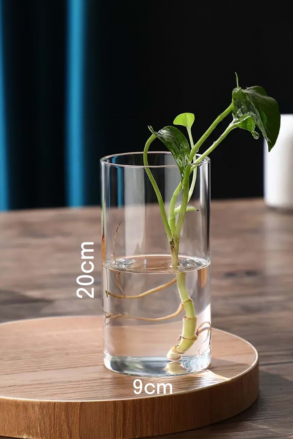 Silindir Şeffaf Cam Vazo Dekoratif Modern Organizasyon Çiçek Düzenleme Şık Tasarım 9x20 cm