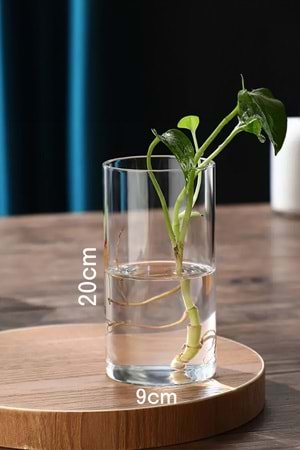 Silindir Şeffaf Cam Vazo Dekoratif Modern Organizasyon Çiçek Düzenleme Şık Tasarım 9x20 cm