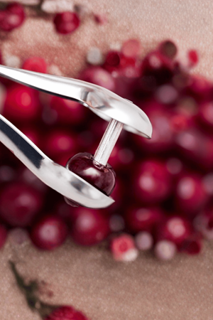 Paslanmaz Çelik Vişne & Kiraz Çekirdek Çıkarıcı – Pratik Meyve Çekirdek Ayıklayıcı Aparat